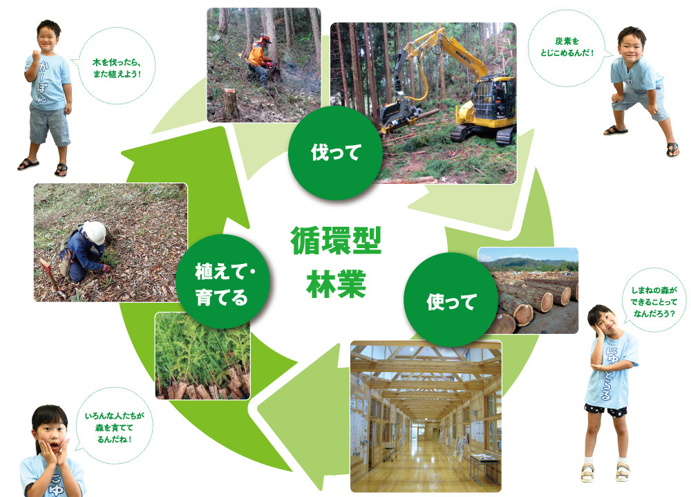 循環型林業のイメージ画像
