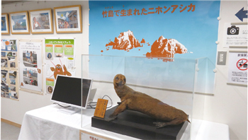 子ども向けの企画展示の様子の写真
