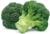 ブロッコリーの写真