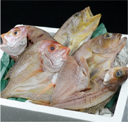 プレゼントの写真