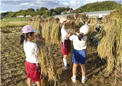 稲作体験の様子の写真