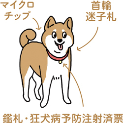 犬のイラスト
