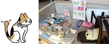 猫のイラストとペットの防災グッズの写真