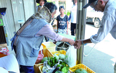 保育所の給食に提供する野菜の出荷作業の写真
