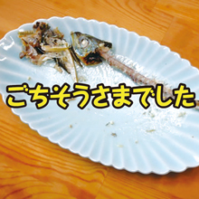 魚の食べ方マナーの写真8