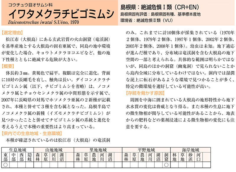 �R�E�`���E�ڃI�T���V�ȃC���^���N���`�r�S�~���V