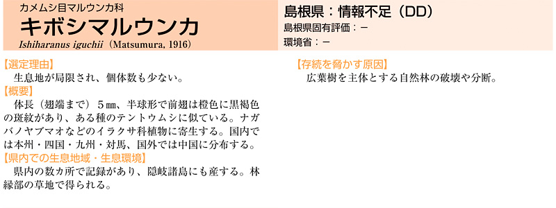 �J�����V�ڃ}���E���J�ȃL�{�V�}���E���J