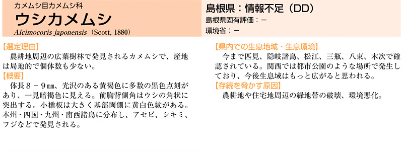 �J�����V�ڃJ�����V�ȃE�V�J�����V