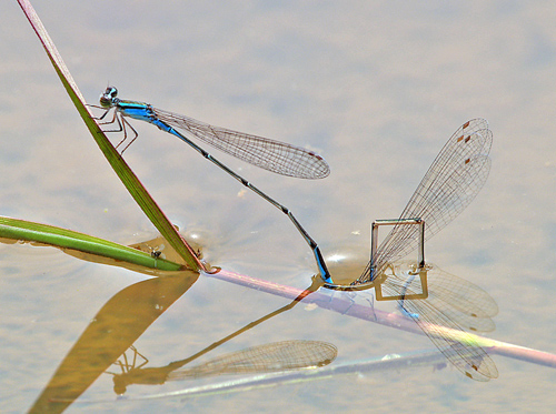 �z�\�~�C�g�g���{