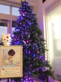 松江赤十字病院クリスマスツリーにパープルライトアップ