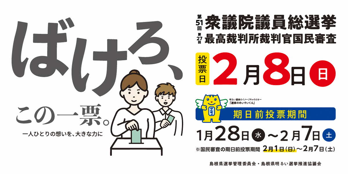 第51回衆議院議員総選挙、最高裁判所裁判官国民審査について