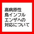 鳥インフルエンザ対応