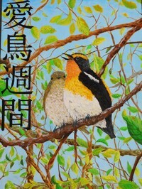 キビタキが木の枝にとまっているいるところをえがいています