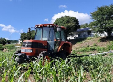 除草剤の散布作業