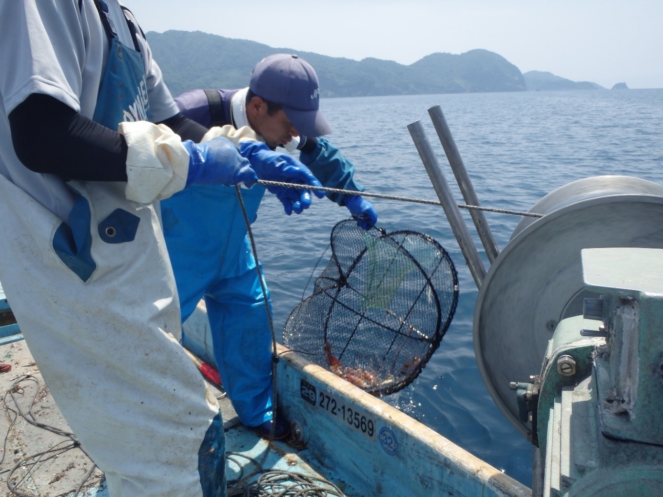 沿岸自営漁業に取り組む新規就業者（かご漁業）