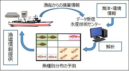 ＩＣＴ活用による魚種別分布予測システムの構築