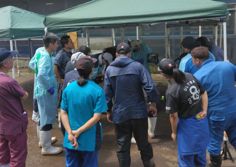 家畜人工授精師研修会