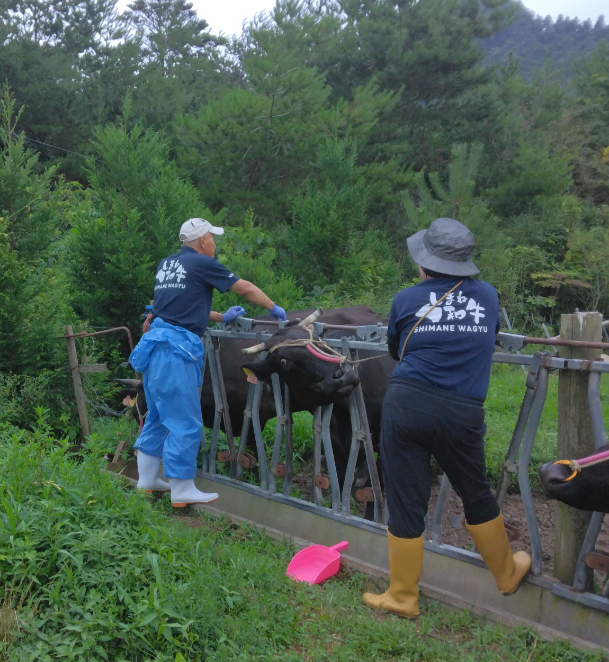 ワクチン接種風景