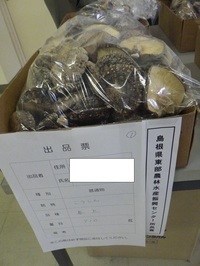 島根県東部農林水産振興センター所長賞を受賞した椎茸が写っています