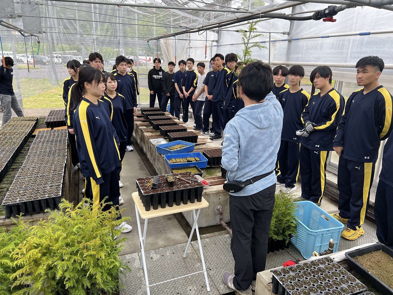 苗木について学習している様子