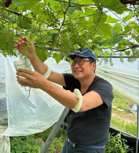 岩本氏