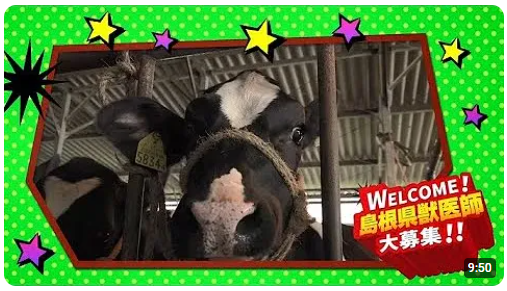 本音を聞ける座談会
