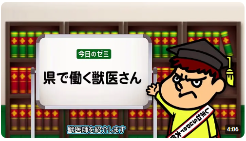 吉田くんのしまねゼミ「県で働く獣医さん」
