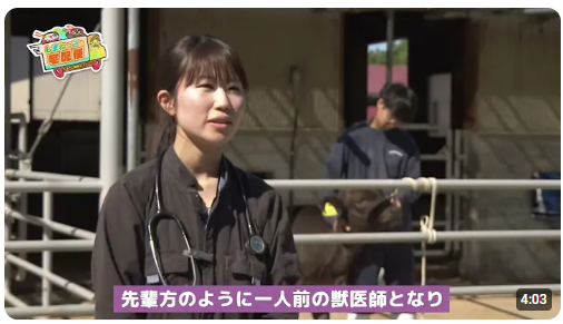 R6県政特別番組「しまねっこの宅配便」