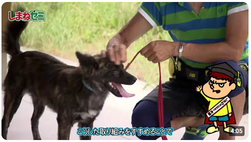 吉田くんのしまねゼミ「ペットはパートナー」