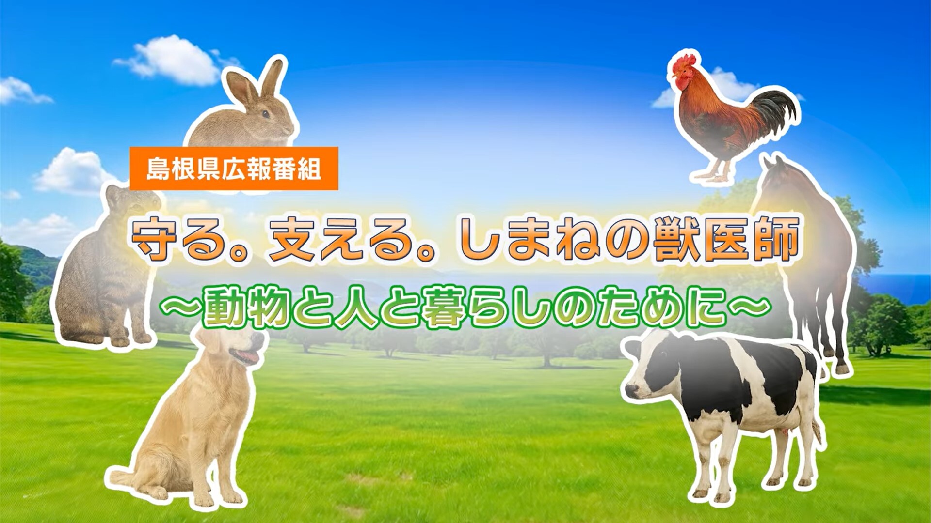 【島根県広報番組】守る。支える。しまねの獣医師