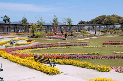 芝生広場と花壇