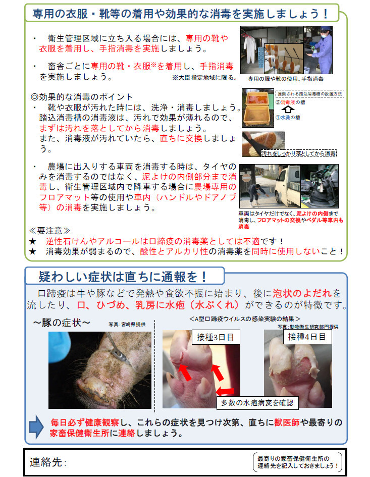 韓国での口蹄疫発生情報（豚用）２