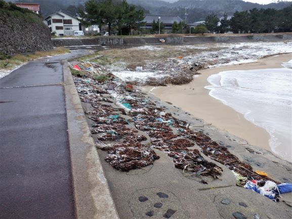 1月9日中村漁港海洋ゴミの打上状況