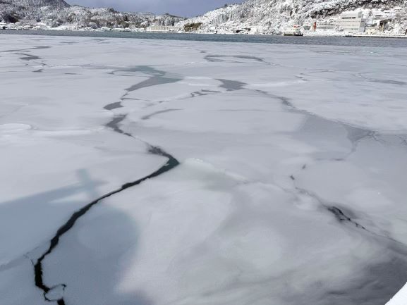 海氷その3
