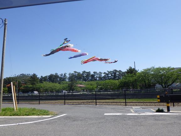 青空を泳ぐ鯉