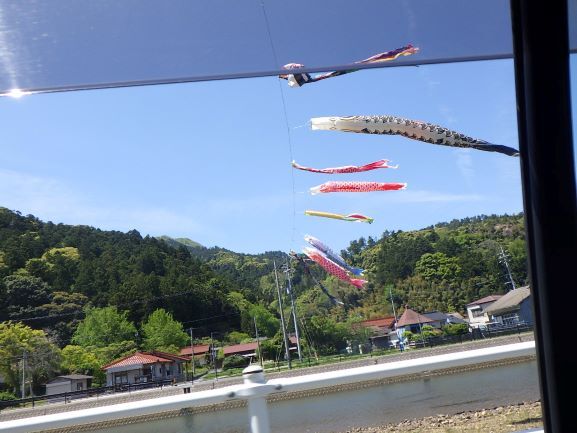 川の上の鯉