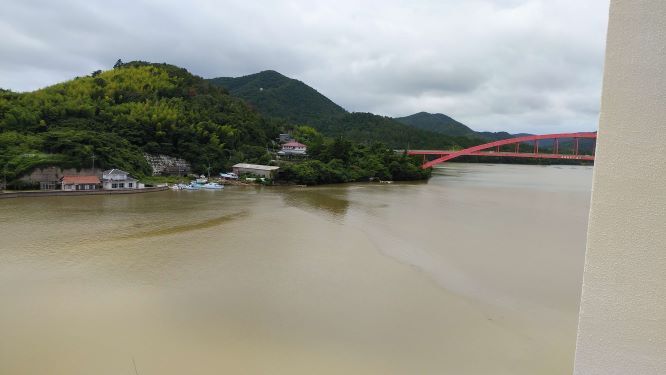 8月12日大雨の翌日その3