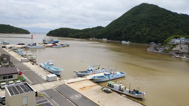 8月12日（大雨の翌日）