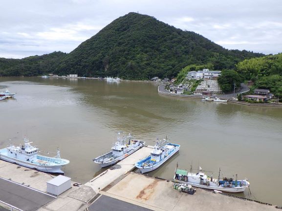大雨の翌日その2