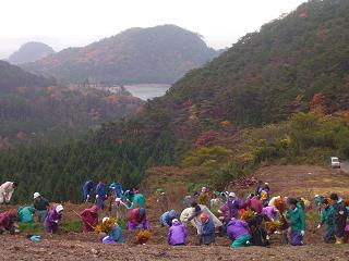 隠岐の島町津戸区にて