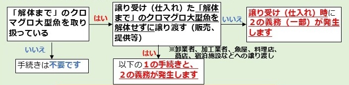 クロマグロ大型魚取扱者のフロー図