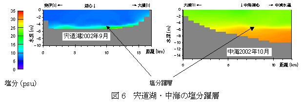 宍道湖中海の塩分躍層