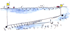 延縄漁業の図