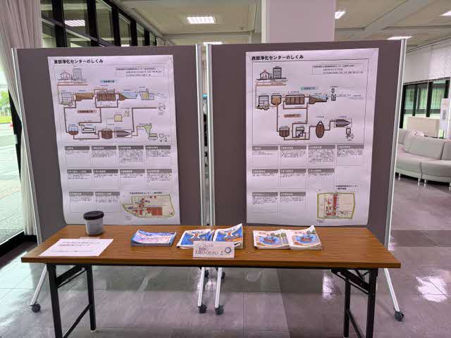 展示の様子