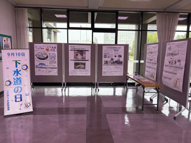 展示の全体様子