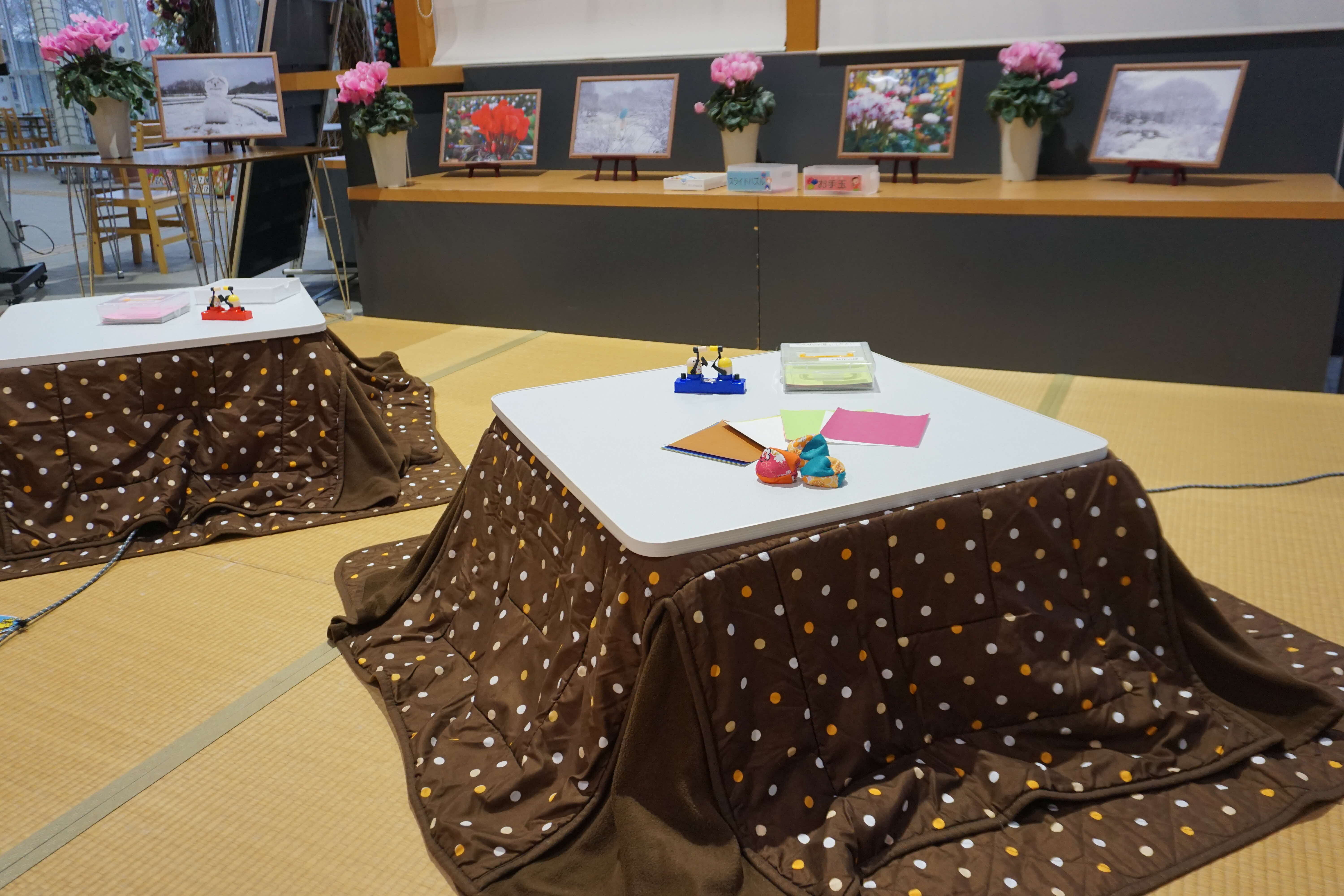 お花見ごたつ写真