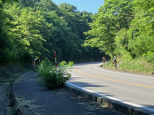 除草作業の様子
