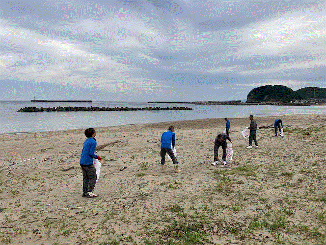 海岸でのごみ拾いの様子