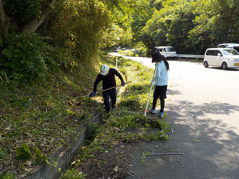 道路沿いの草刈りの様子