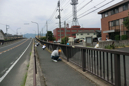 道路沿いのごみ拾いの様子
